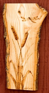 Cattails - Pyrography on cherry