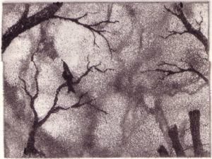 Woods - Aquatint