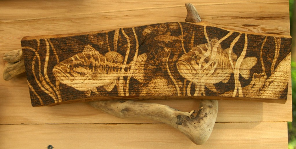 Bass - Pyrography on cherry