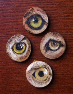 Animal Eyes - Pyrography and acrylic on apple wood