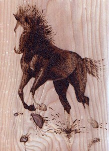 Running Horse - Pyrography on hemlock