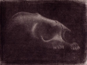 Animal Skull - Mezzotint