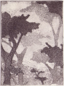 Aquatint Trees