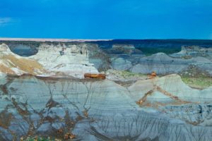 Painted Desert with petrified logs in Arizona