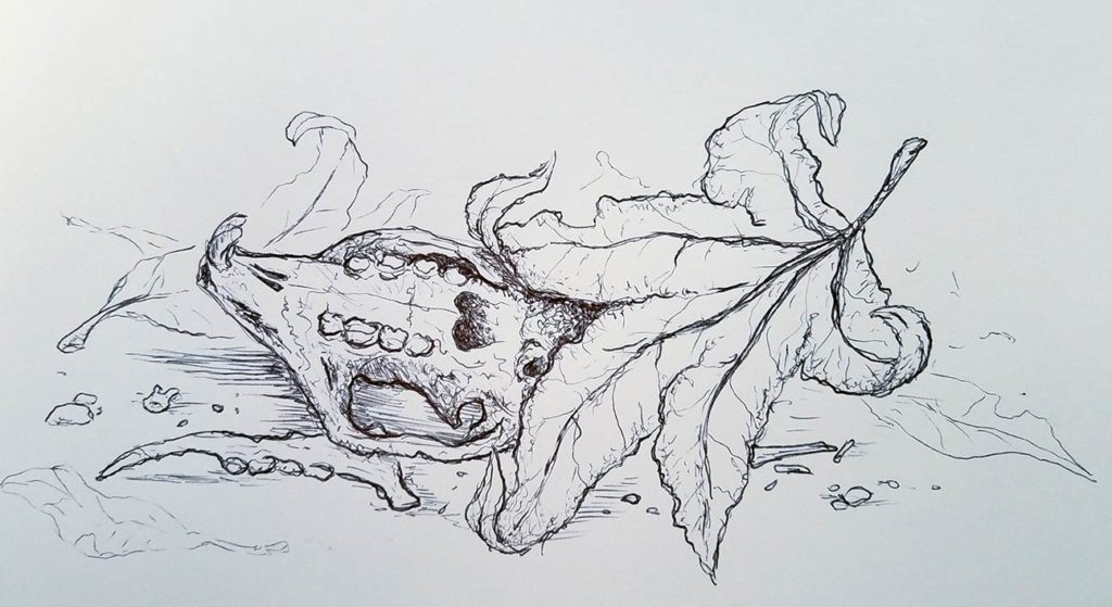 Skull and Leaf