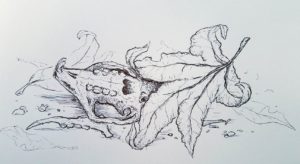 Skull and Leaf