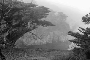 Coastline cliffs at Point Lobos