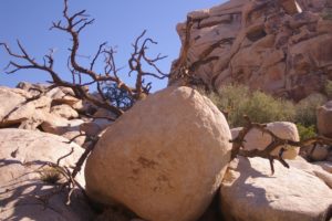 Boulders in Joshua Tree