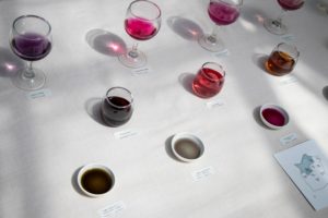 Table of watercolor pigments at the Colors of Blake Garden Art Exhibition