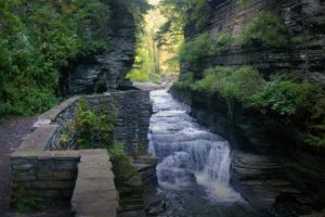 Treeman Park in Ithaca New York