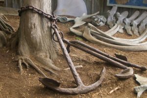 Whaling artifacts Point Lobos