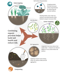 Organic Farming Infographic